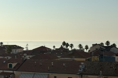 IMG_6565