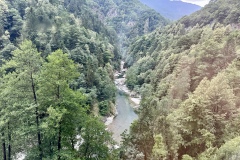 IMG_6076