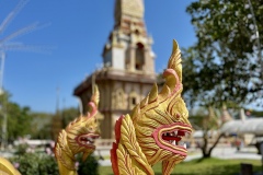 IMG_E7754
